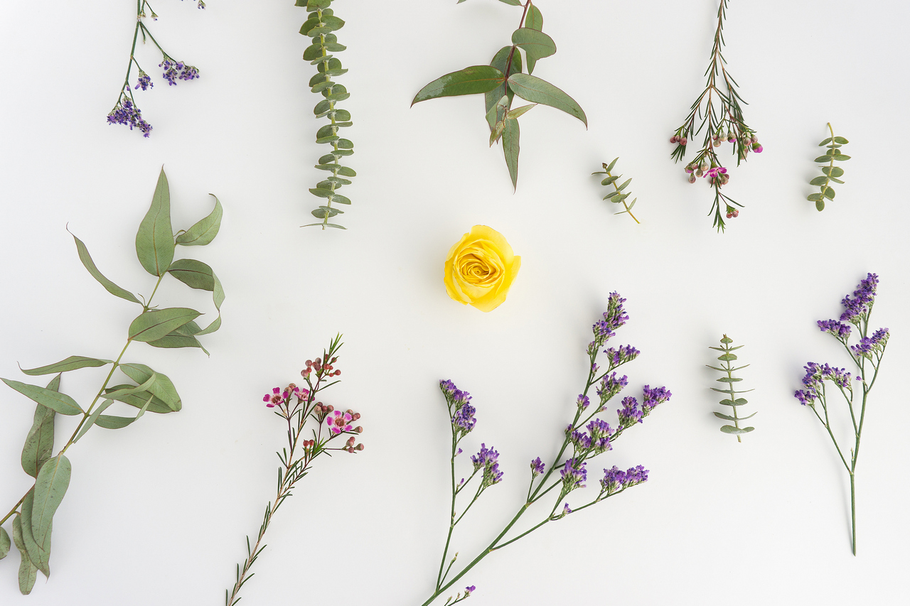 floral composition with yellow flower